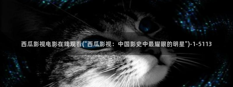 西瓜免费电影网