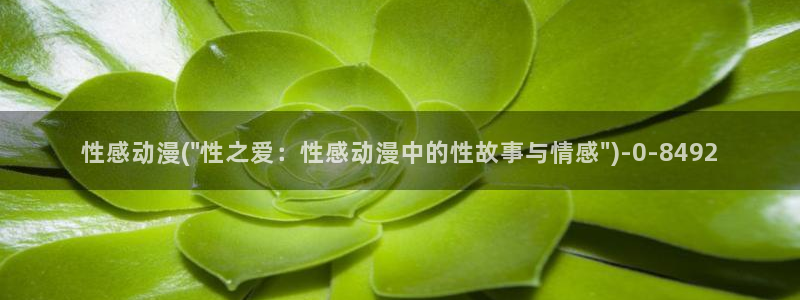 星星动漫