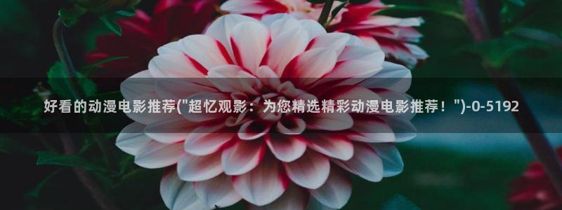 布丁动漫