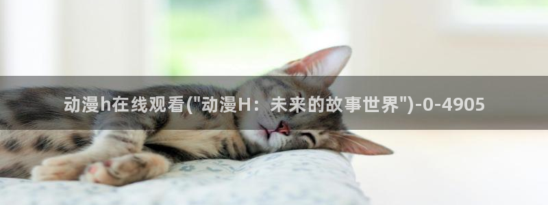 黑猫动漫