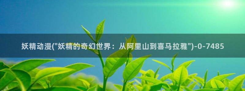 黑兽动漫