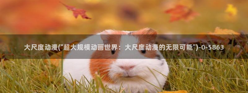 一念永恒动漫