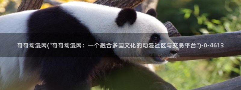 黄页动漫网站：奇奇动漫网(\